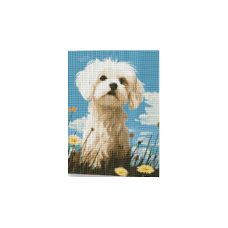 KIT DIAMOND PAINTING CON BASTIDOR DOG NOBLE 30X40